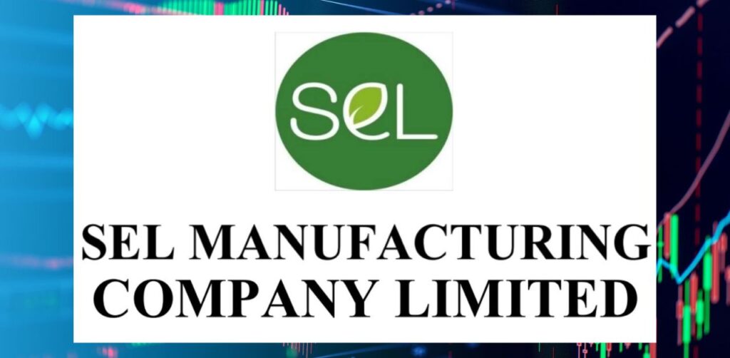 Sel Manufacturing Share Price Target